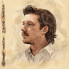 Morgan Wallen - I'm The Problem