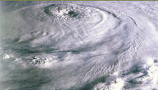 Public Adjuster Ocala Fl