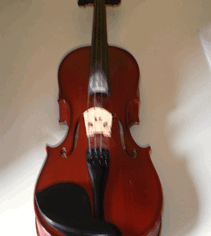The Violin